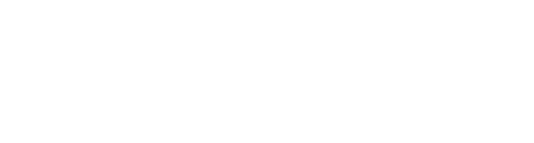 Immix Group