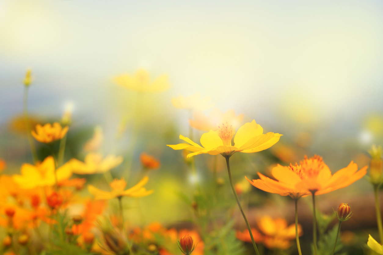 Embracing Hope and Healing During a Fertility Journey